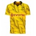 Borussia Dortmund Mats Hummels #15 Koszulka Trzecich 2023-24 Krótki Rękaw